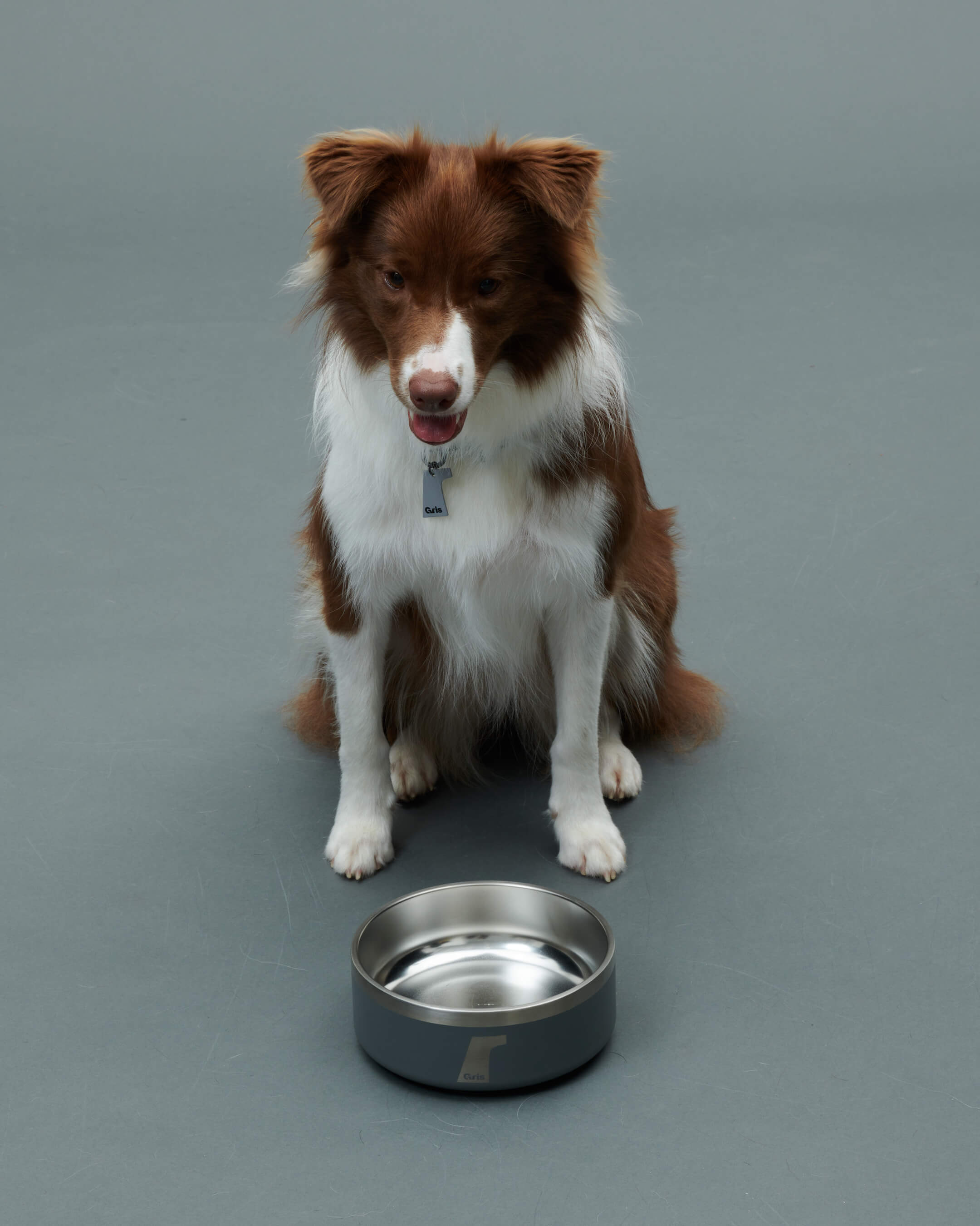 Gris PRODUCT DW BOWL