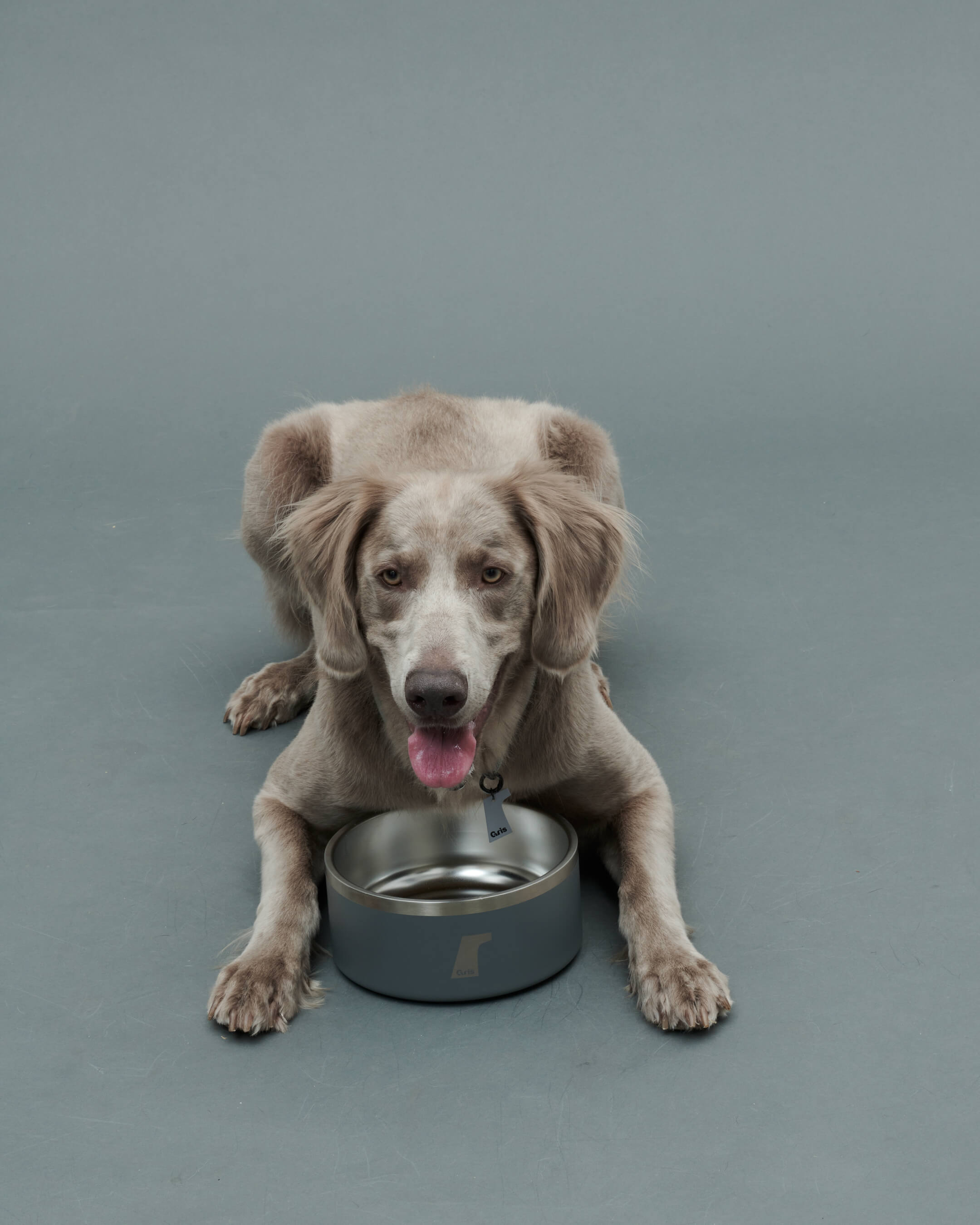 Gris PRODUCT DW BOWL