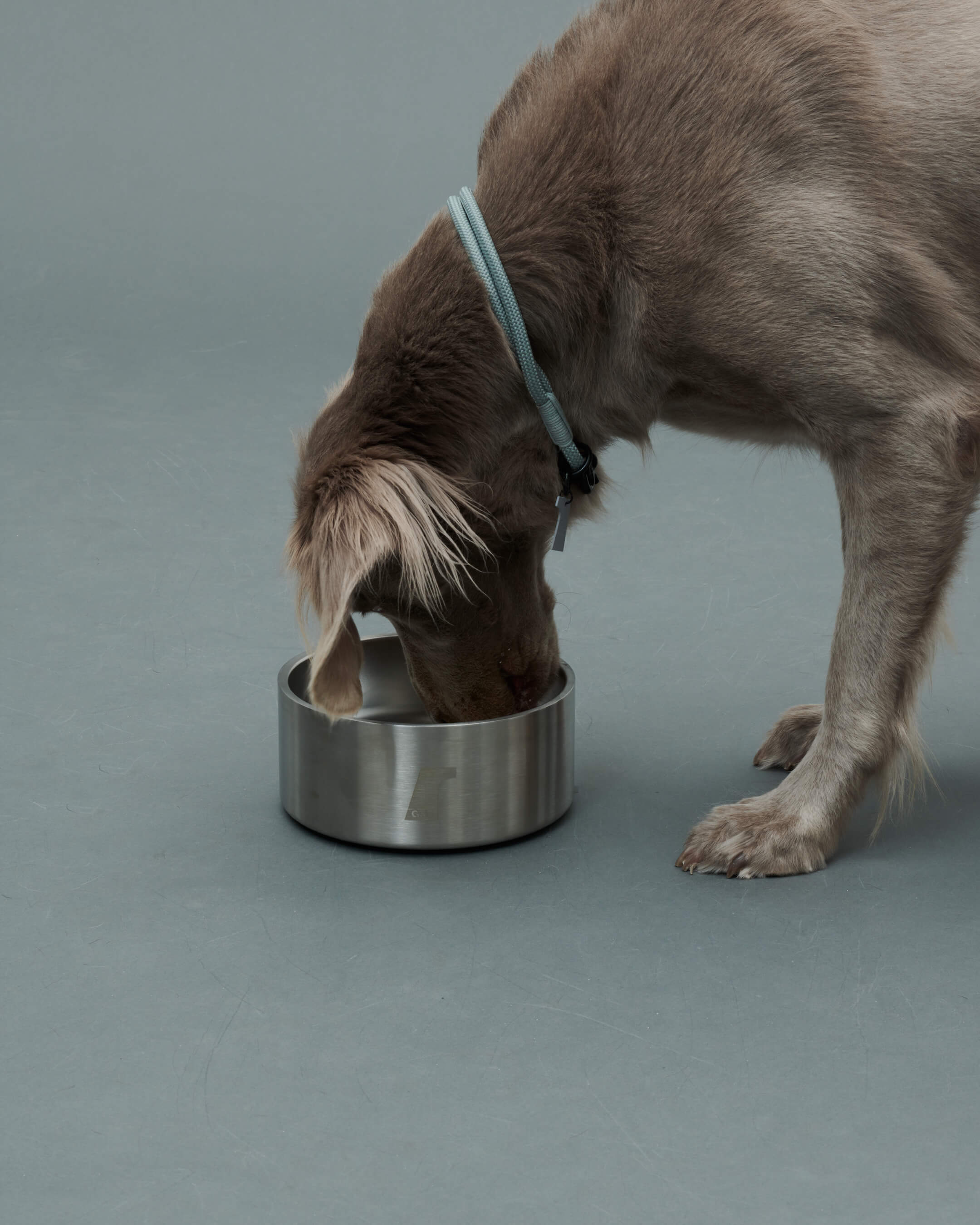 Gris PRODUCT DW BOWL