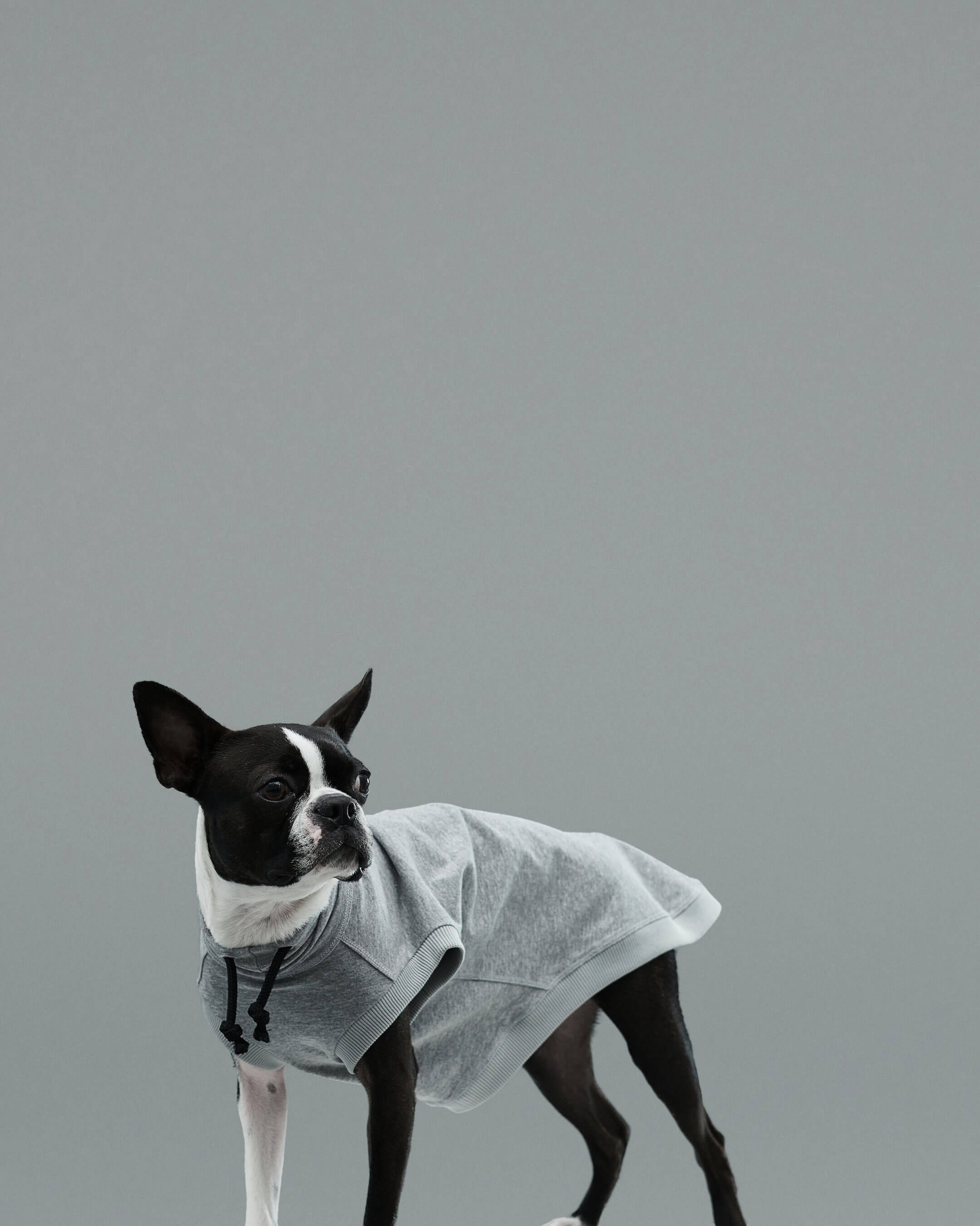 Gris PRODUCT DE TEE