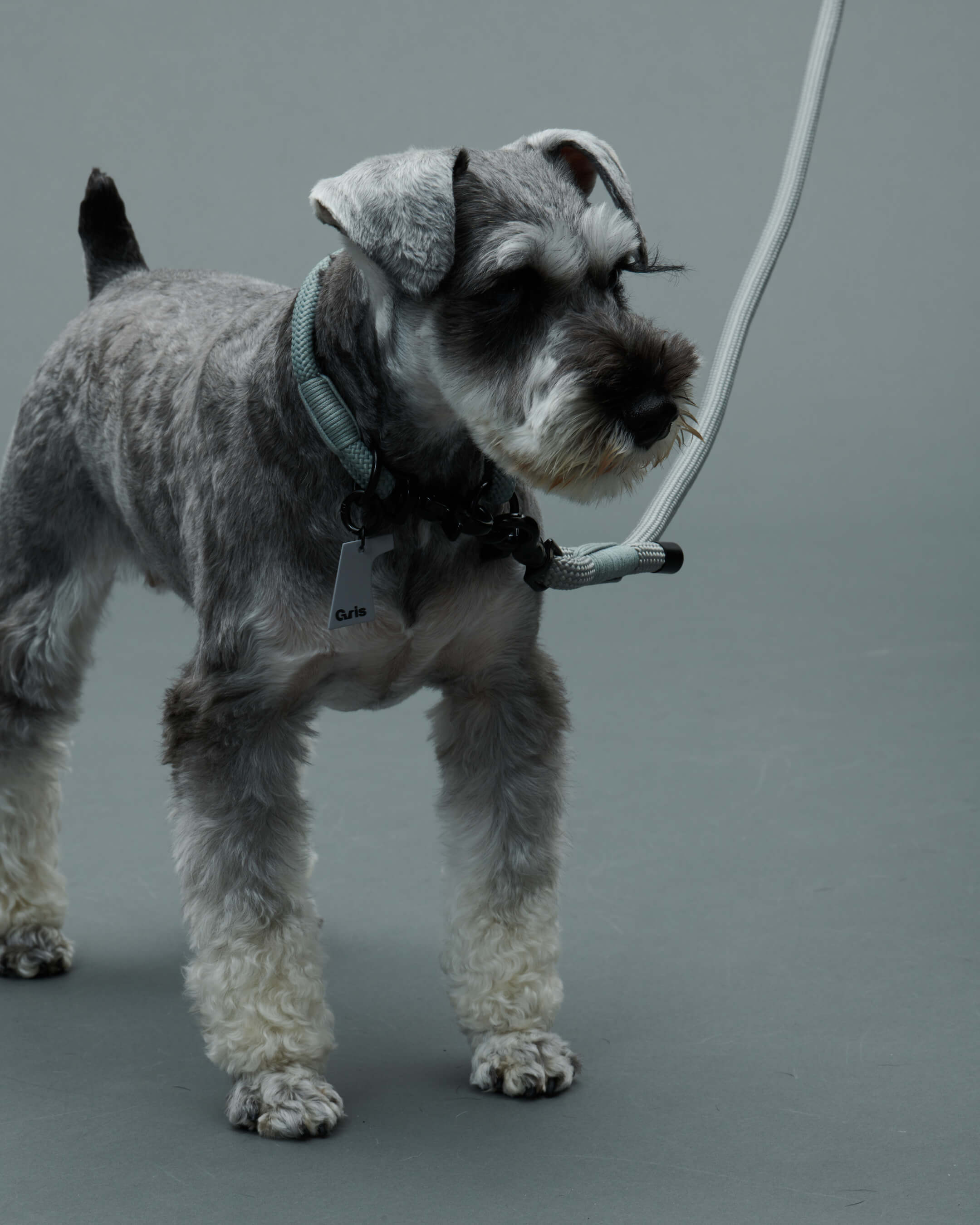 Gris PRODUCT THE LEASH