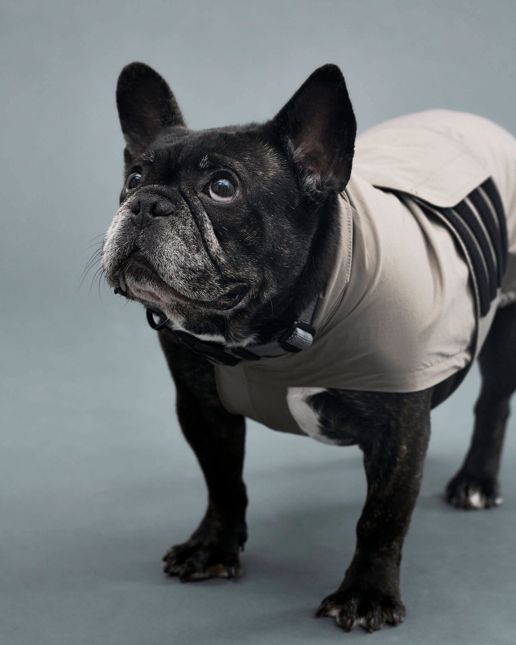 Gris PRODUCT LITE RAIN COAT