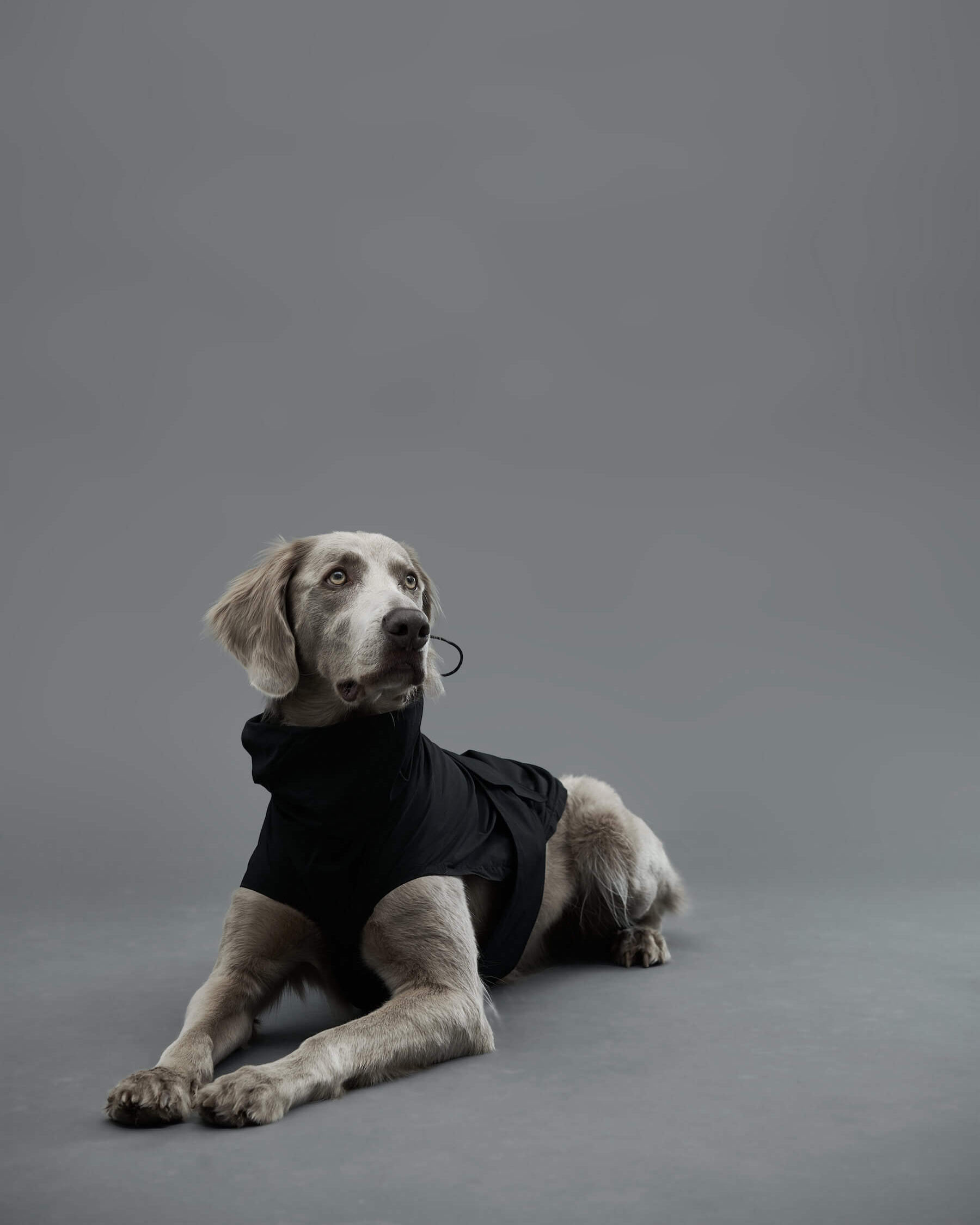 Gris PRODUCT LITE RAIN COAT