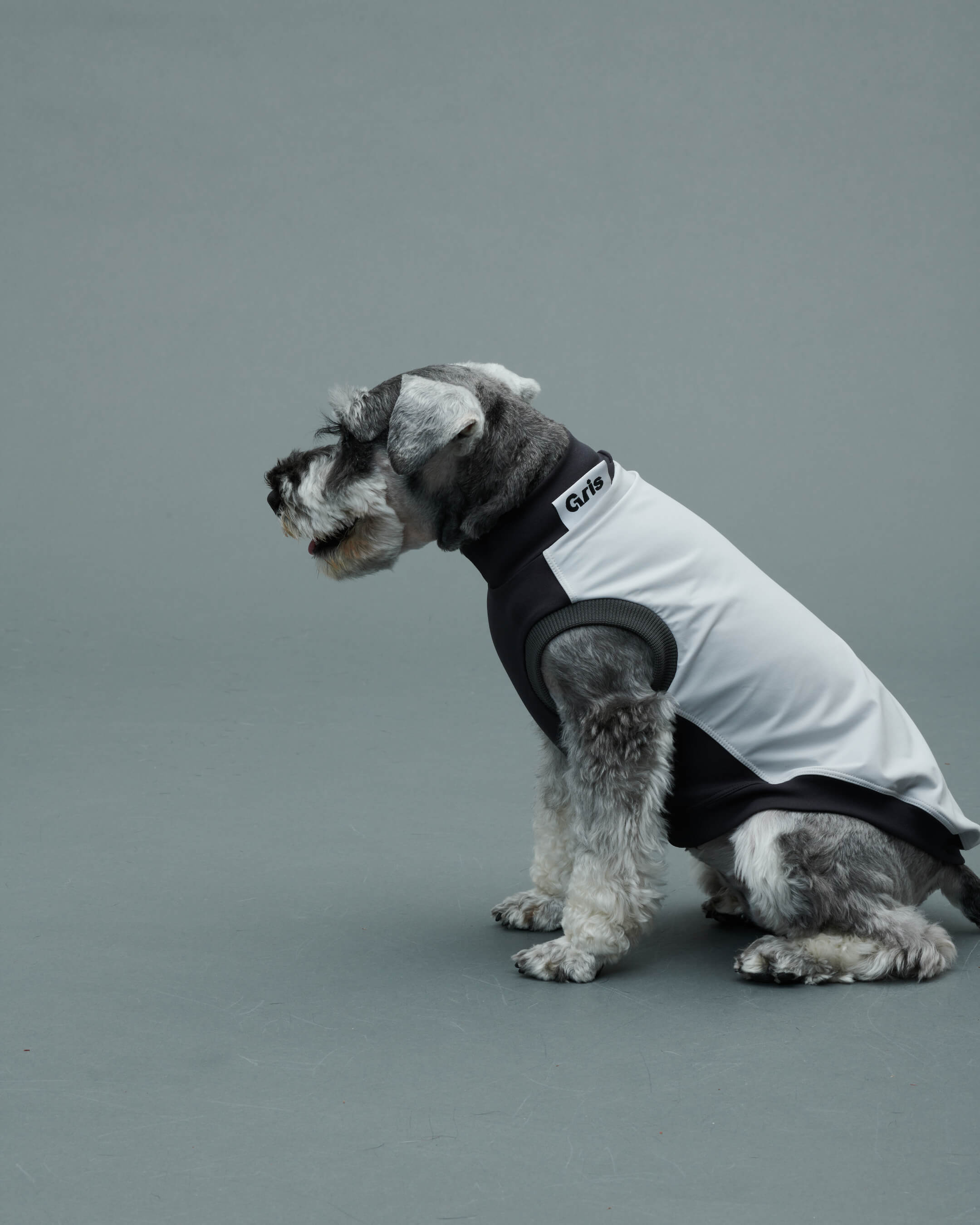 Gris PRODUCT ROB SWEAT