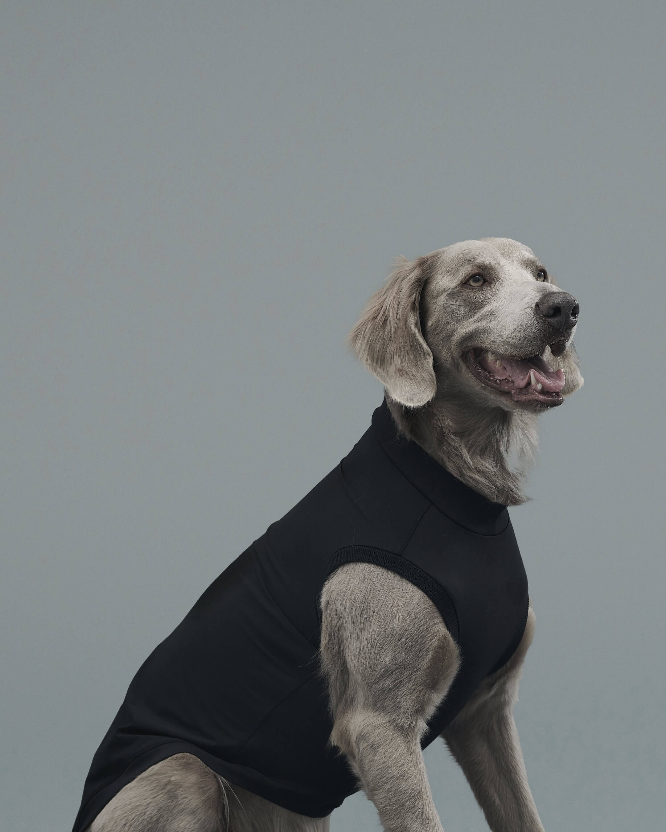 Gris PRODUCT ROB SWEAT