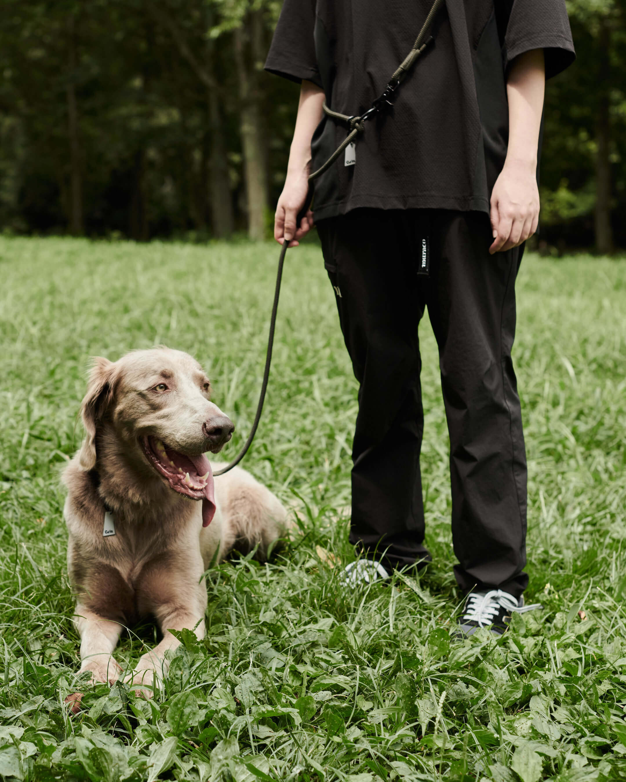 Gris PRODUCT THE SHOULDER LEASH