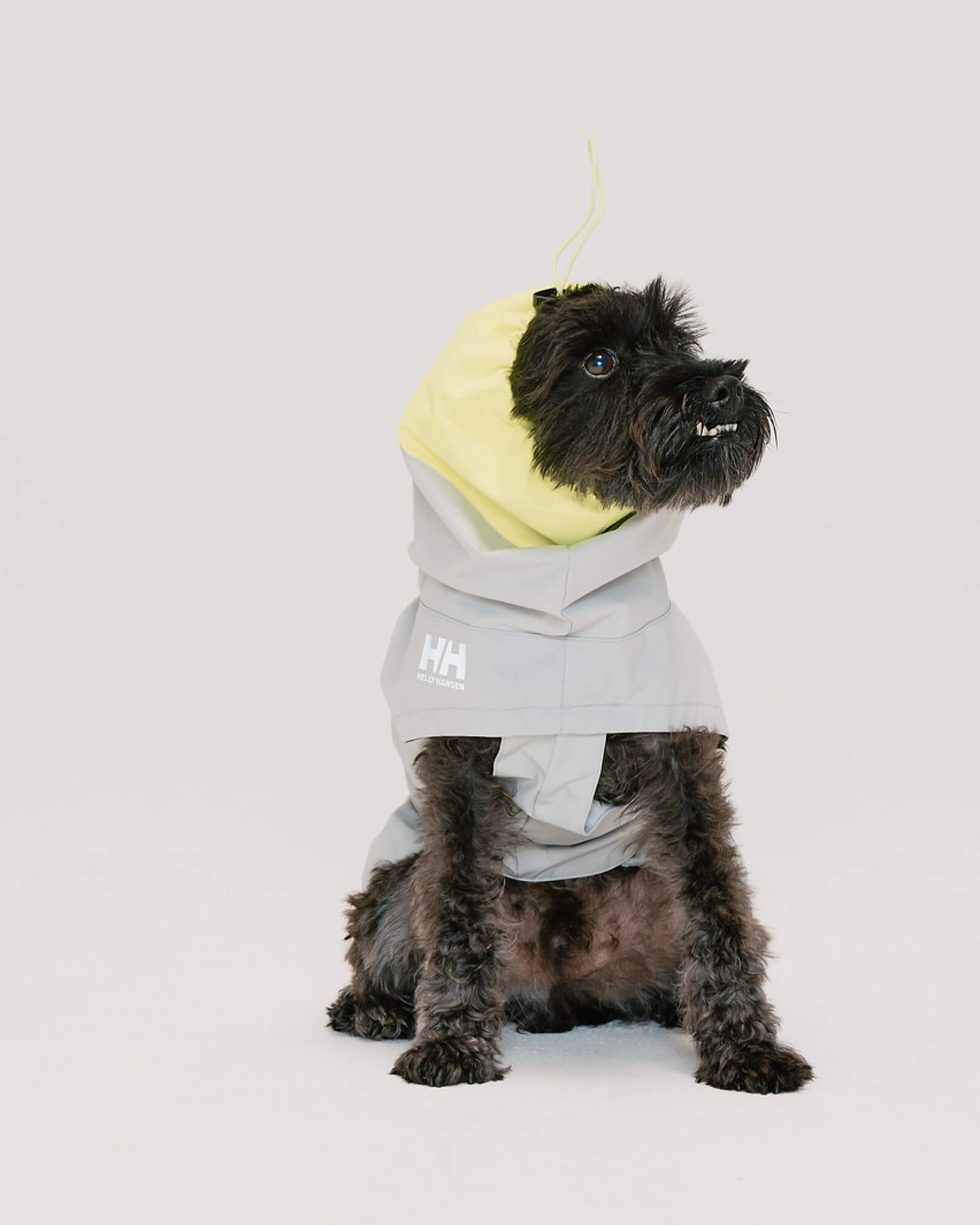 HH×Gris ALL WEATHER COAT