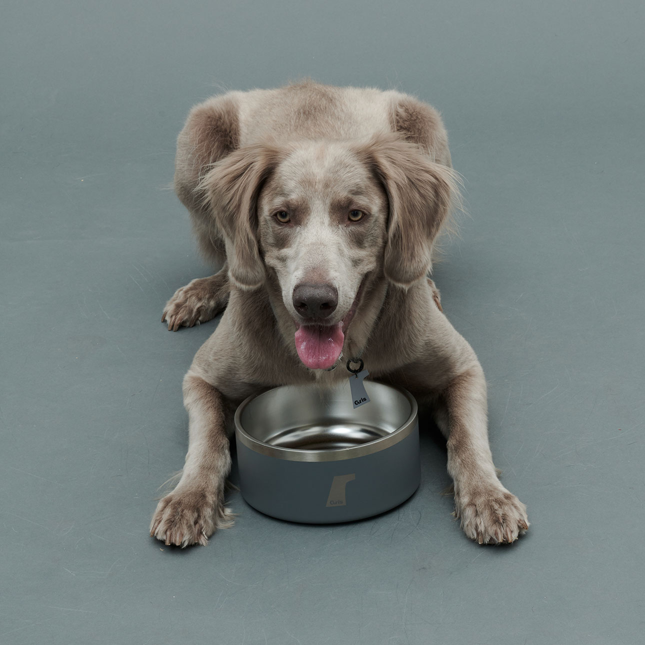 Gris PRODUCT DW BOWL