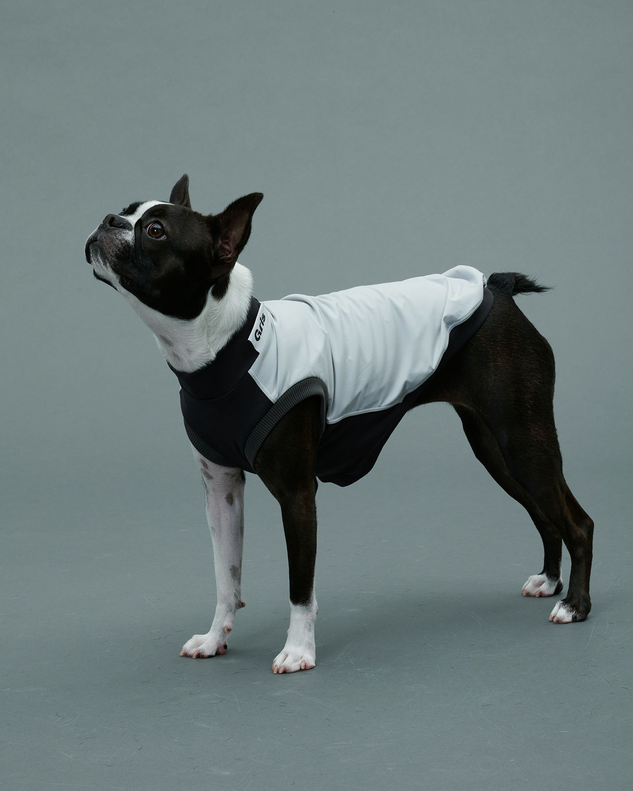 Gris PRODUCT ROB SWEAT