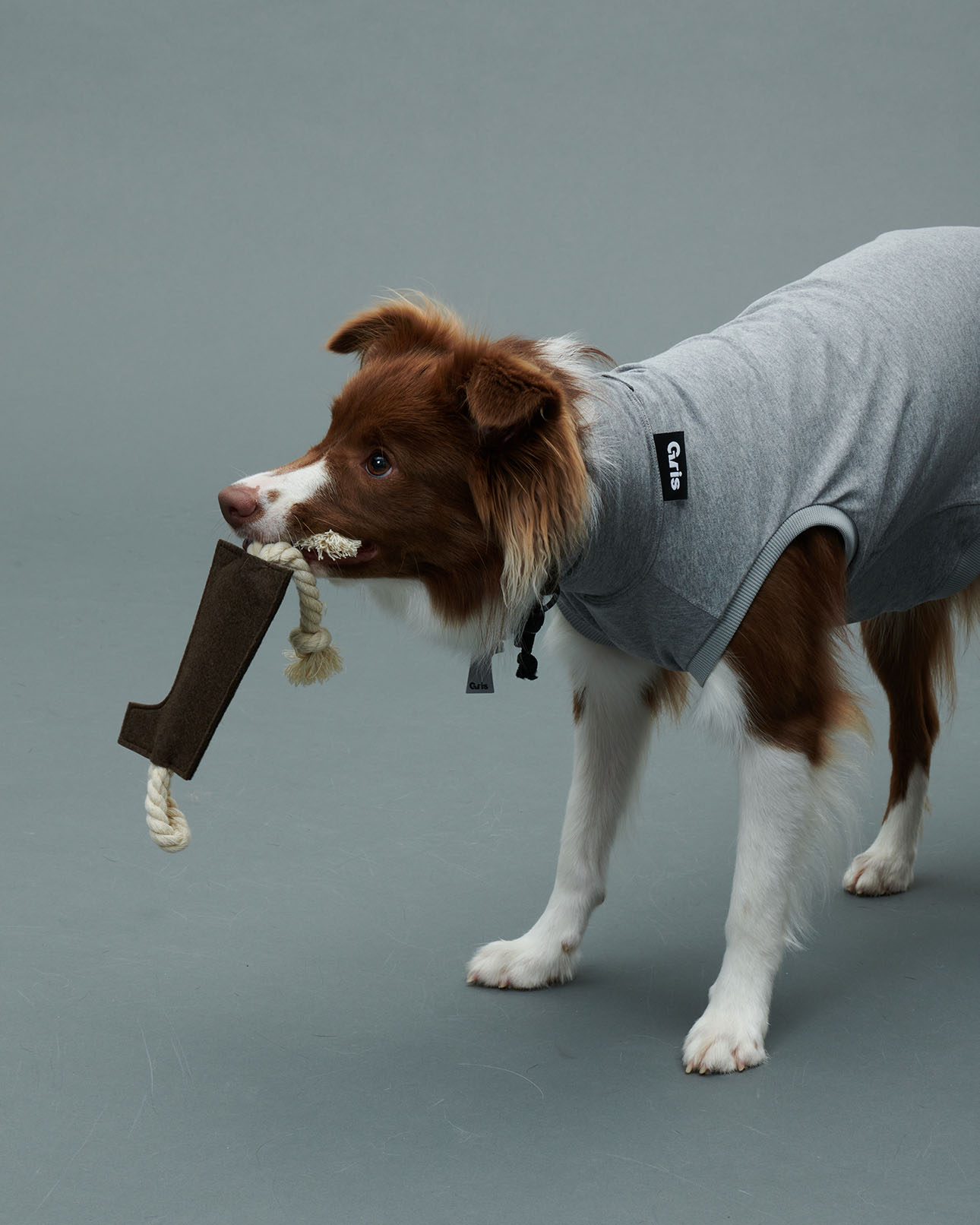 Gris PRODUCT LOGO ROPE TOY